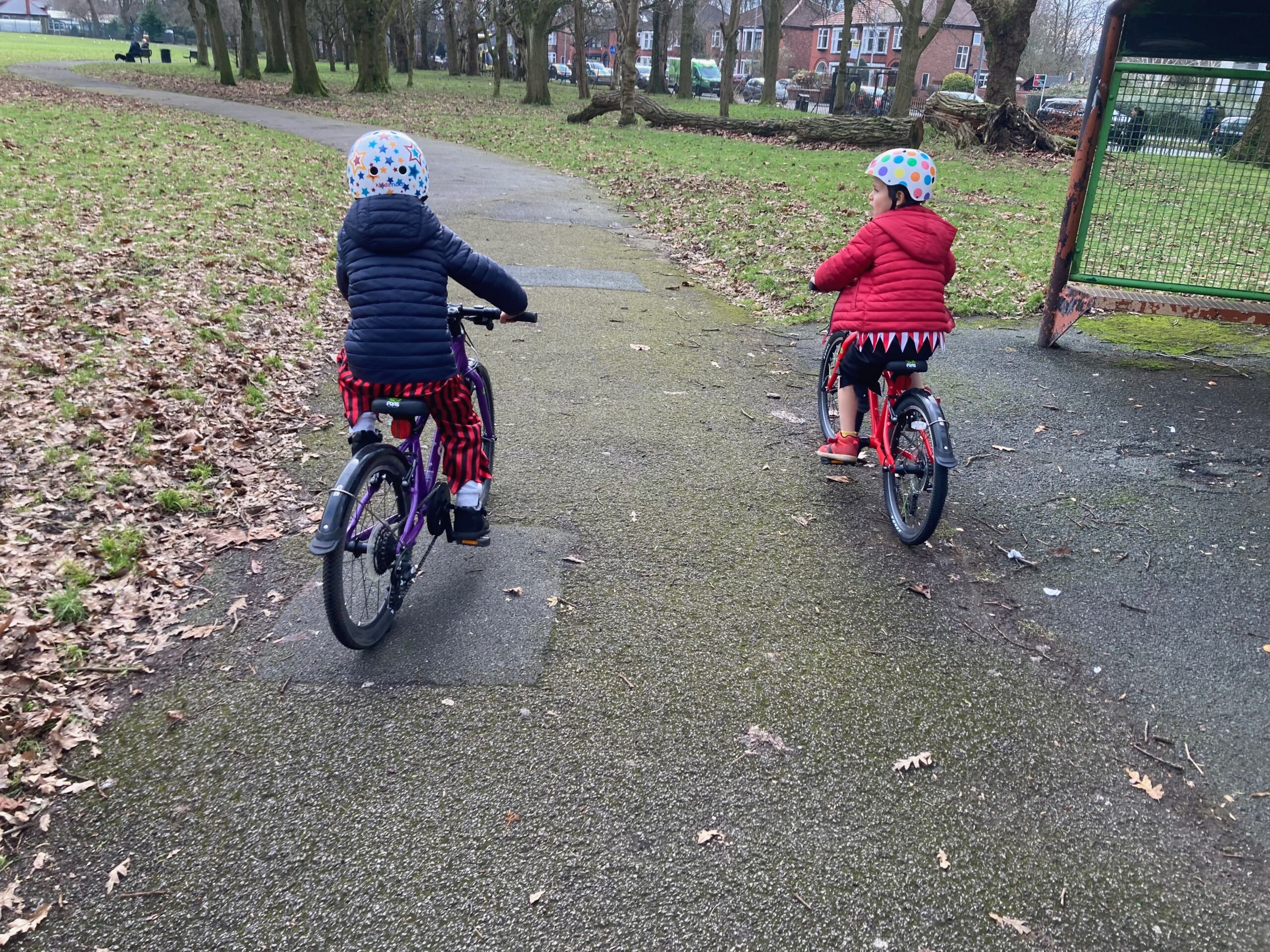 Two Children cycling side by side in a park